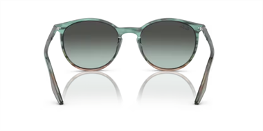 Ray-Ban 0RB 2204 Yuvarlak 1394GK 54