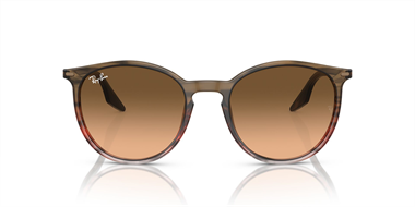 Ray-Ban 0RB 2204 1395/3B 51