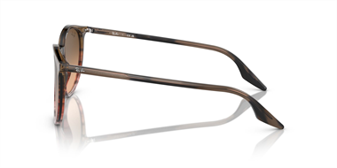 Ray-Ban 0RB 2204 1395/3B 51