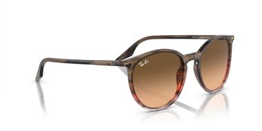 Ray-Ban 0RB 2204 1395/3B 51