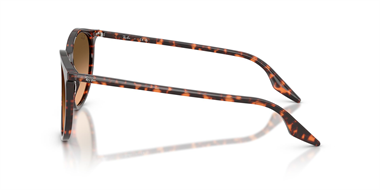 Ray-Ban 0RB 2204 1429/3B 51