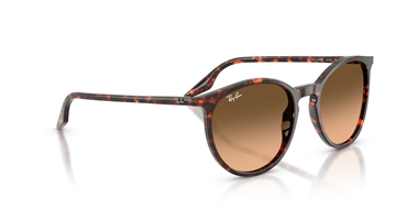 Ray-Ban 0RB 2204 1429/3B 54