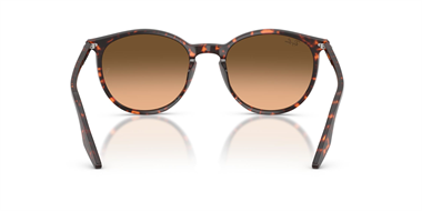 Ray-Ban 0RB 2204 1429/3B 54