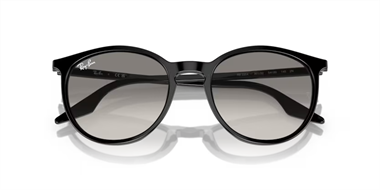 Ray-Ban 0RB 2204 901/32 54
