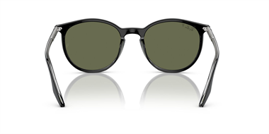 Ray-Ban 0RB 2204 919/58 51