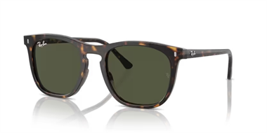 Ray-Ban 0RB 2210 902/31 53