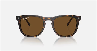 Ray-Ban 0RB 2210 902/57 53