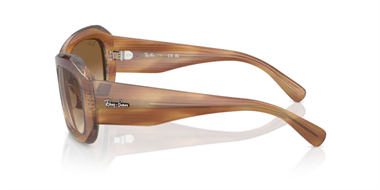 Ray-Ban 0RB 2212 1403/51 56