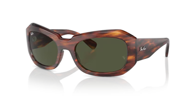 Ray-Ban 0RB 2212 954/31 56