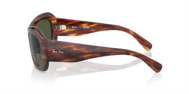 Ray-Ban 0RB 2212 954/31 56