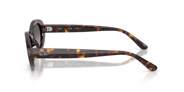 Ray-Ban 0RB 2223 902/M3 54 Kadın Güneş Gözlüğü
