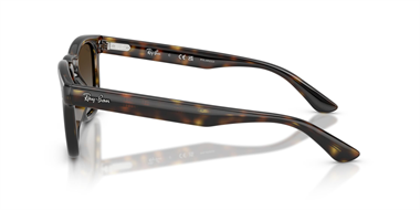 Ray-Ban 0RB 2238 710/T5 52 Unisex Güneş Gözlüğü