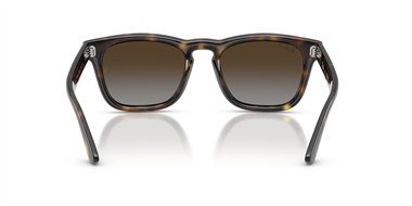 Ray-Ban 0RB 2238 710/T5 52 Unisex Güneş Gözlüğü