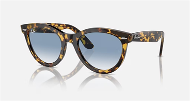 Ray-Ban 0RB 2241 1332/3F 54