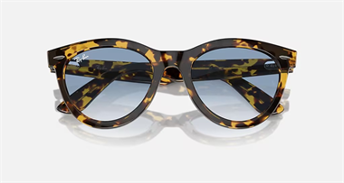 Ray-Ban 0RB 2241 1332/3F 54