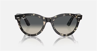 Ray-Ban 0RB 2241 1333/71 54