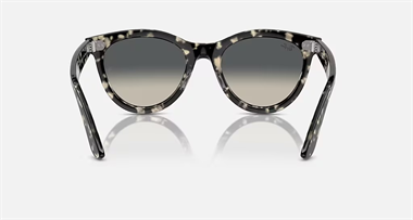 Ray-Ban 0RB 2241 1333/71 54