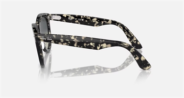 Ray-Ban 0RB 2241 1333/71 54