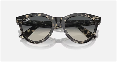 Ray-Ban 0RB 2241 1333/71 54