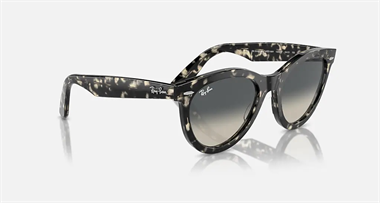 Ray-Ban 0RB 2241 1333/71 54