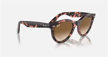 Ray-Ban 0RB 2241 1334/51 54