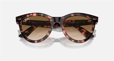Ray-Ban 0RB 2241 1334/51 54