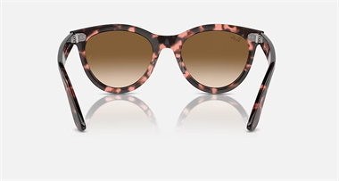 Ray-Ban 0RB 2241 1334/51 54