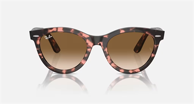 Ray-Ban 0RB 2241 1334/51 54