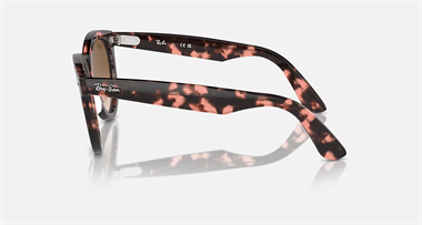 Ray-Ban 0RB 2241 1334/51 54