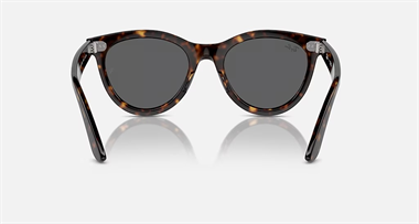 Ray-Ban 0RB 2241 902/B1 54