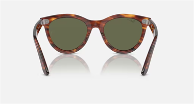 Ray-Ban 0RB 2241 954/58 54