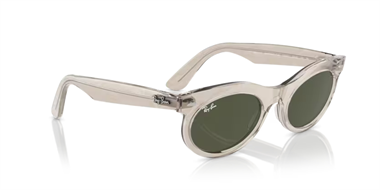 Ray-Ban 0RB 2242 1383/31 53