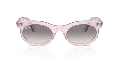 Ray-Ban 0RB 2242 1384/32 53