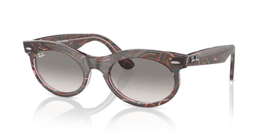 Ray-Ban 0RB 2242 1384/32 53