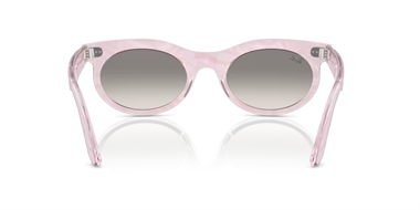 Ray-Ban 0RB 2242 1384/32 53