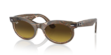 Ray-Ban 0RB 2242 1386/85 53