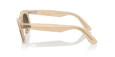 Ray-Ban 0RB 2242 1386/85 53