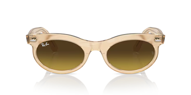 Ray-Ban 0RB 2242 1386/85 53