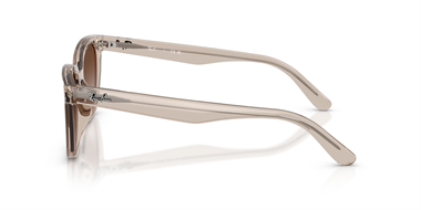 Ray-Ban 0RB 2243D 6827/13 55 Kadın Güneş Gözlüğü