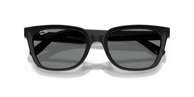 Ray-Ban 0RB 2243D 901/87 55 Kadın Güneş Gözlüğü