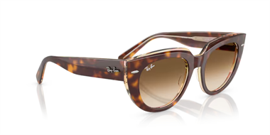Ray-Ban 0RB 2286 1414/51 49