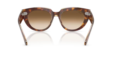 Ray-Ban 0RB 2286 1414/51 49