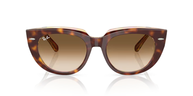 Ray-Ban 0RB 2286 1414/51 49