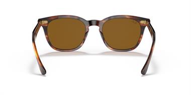 Ray-Ban 0RB 2298 954/33 52