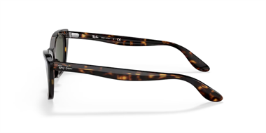 Ray-Ban 0RB 2299 902/31 52