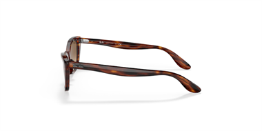 Ray-Ban 0RB 2299 954/51 52