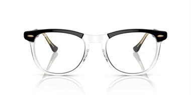 Ray-Ban 0RB 2398 1294/GJ 53