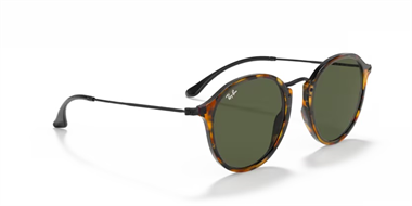 Ray-Ban 0RB 2447 1157 49
