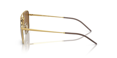 Ray-Ban 0RB 3588 9250/83 55