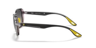 Ray-Ban 0RB 3674-M F030/11 50